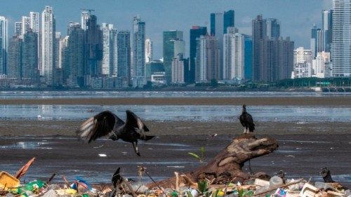 (FILES) In this file photo taken on June 08, 2020 vultures are seen over garbage, including plastic ...