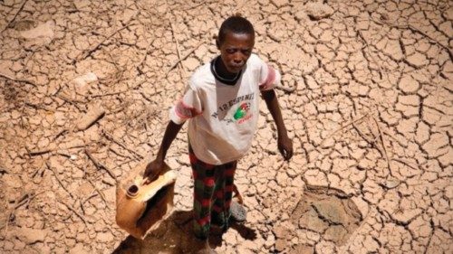 I nomadi del Somaliland hanno perso oltre la metà del loro bestiame a causa della lunga siccità. I ...