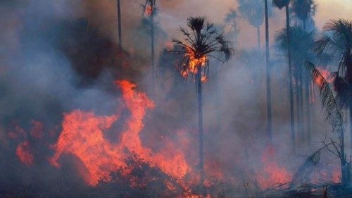  Raddoppiati i focolai di incendi in Amazzonia  QUO-114