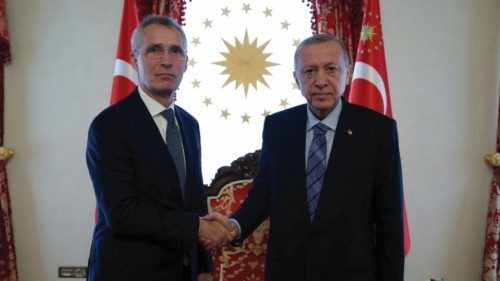 FILE PHOTO: Turkey's President Tayyip Erdogan shakes hands with NATO Secretary General Jens ...