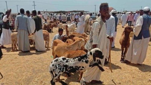 A man buys sheep from a livestock market ahead of the Muslim feast of Eid al-Adha in Sudan's eastern ...