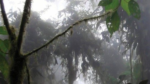  In Ecuador c’è un frate che compra le foreste  QUO-151