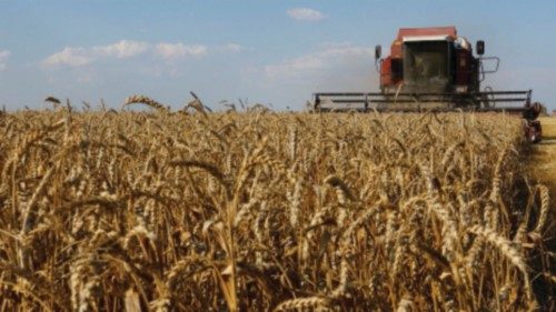 A combine harvests wheat in a field in the Zaporizhzhia region, Russian-controlled Ukraine, July 4, ...