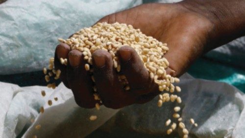 A Somali trader sorts wheat imported from Ukraine at the Bakara open air market in Mogadishu, ...