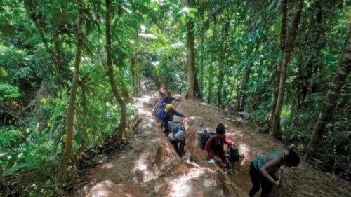 (FILES) Haitian migrants cross the jungle of the Darien Gap, near Acandi, Choco department, ...