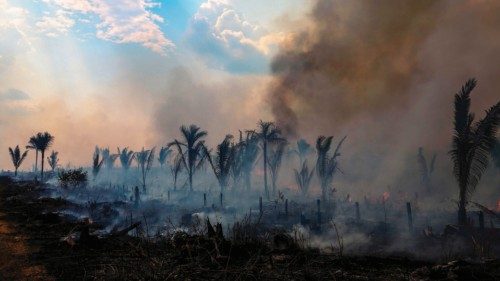 (FILES) View of a burnt are of the Amazonia rainforest in Apui, southern Amazonas State, Brazil, on ...