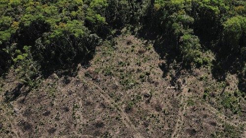 FILE PHOTO: An aerial view shows a deforested plot of the Amazon rainforest in Manaus, Amazonas ...