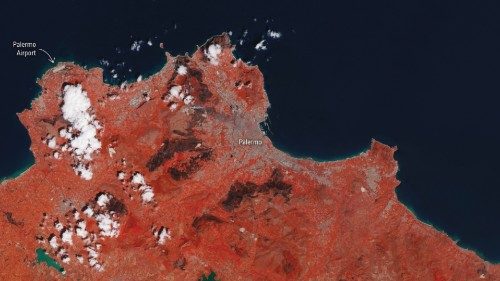  Al servizio della comunità  QUO-184