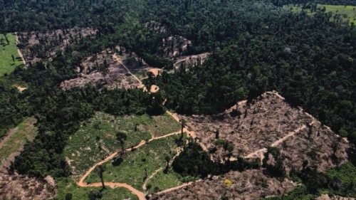 FILE PHOTO: A view shows a deforested area in the middle of the Amazon Forest near the BR-230 ... FILE PHOTO: A view shows a deforested area in the middle of the Amazon Forest near the BR-230 ...