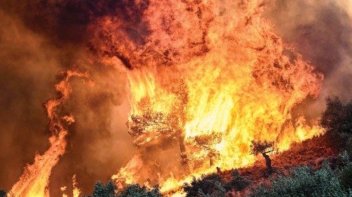 TOPSHOT - A photo shows flames burning vegetation during a wildfire near Prodromos, 100km northeast ...