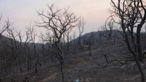 A view shows medical gloves next to charred trees near a corral where the bodies of eighteen people, ...