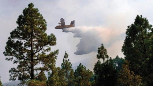 A hydroplane drops water in the area of Las Lagunetas over a huge wildfire raging through forested ...