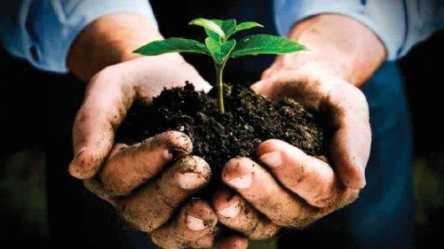 Vivere il dono della creazione QUO-199 Vivere il dono della creazione QUO-199