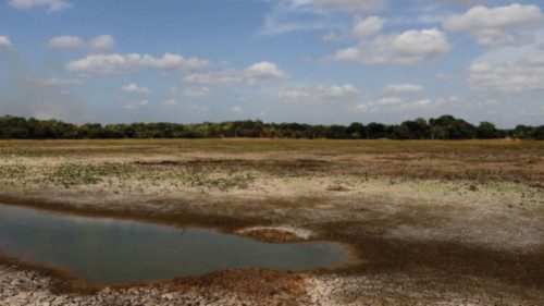 A general view of a lake, used for collecting water for farming, dried due to draught is seen near a ...