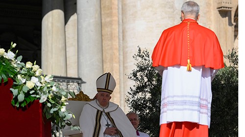 cardinale.jpg