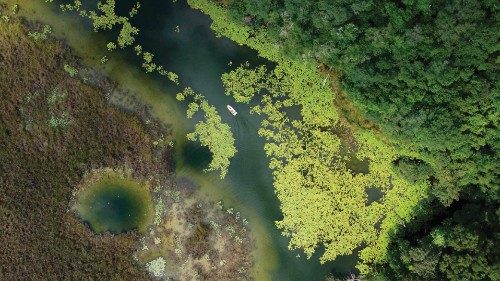 Aerial view showing a boat on a lake in the forest in Puerto Arturo, a sector in the heart of the ...