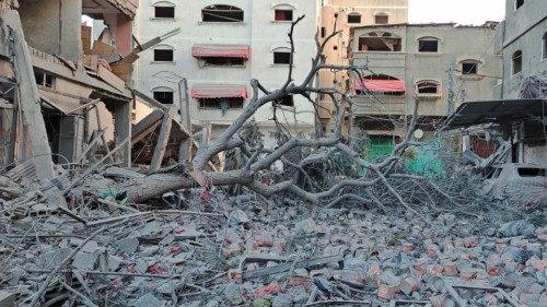 TOPSHOT - A Palestinian man inspects the damage in Beit Lahia in the northern Gaza Strip on November ... TOPSHOT - A Palestinian man inspects the damage in Beit Lahia in the northern Gaza Strip on November ...