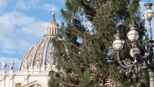 Il 9 dicembre l’inaugurazione dell’albero e del presepe in piazza San Pietro QUO-280 Il 9 dicembre l’inaugurazione dell’albero e del presepe in piazza San Pietro QUO-280