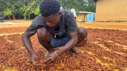 FILE PHOTO: A farmer dries cocoa beans at a village in Daloa, Ivory Coast October 2, 2023. ...