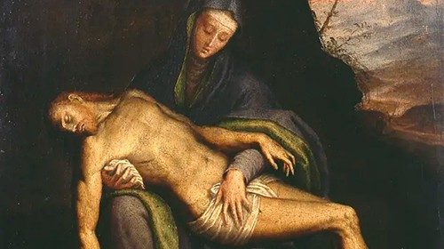 anguissola_DCM.jpg anguissola_DCM.jpg