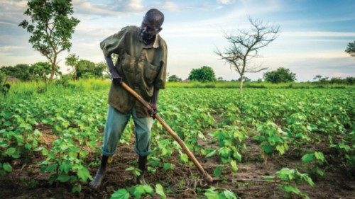 (c) Ben Small/HelpAge International
PLEASE REMEMBER TO ALWAYS CREDIT THE PHOTOGRAPHER/ HELPAGE ... (c) Ben Small/HelpAge International
PLEASE REMEMBER TO ALWAYS CREDIT THE PHOTOGRAPHER/ HELPAGE ...