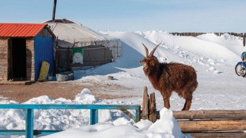 This picture taken on February 22, 2024 shows a goat standing next to a traditional yurt tent amid ... This picture taken on February 22, 2024 shows a goat standing next to a traditional yurt tent amid ...
