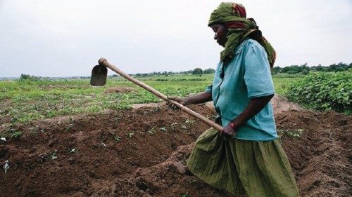  La “spina dorsale” della sicurezza alimentare in Africa   QUO-058