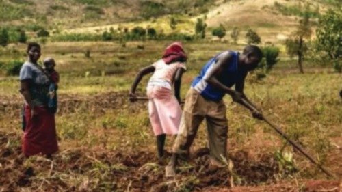  Il ruolo fondamentale delle famiglie di piccoli agricoltori  QUO-065