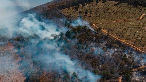 Aerial view of a forest fire that affects an avocado plantation in Cerro del Aguila, recognized as a ... Aerial view of a forest fire that affects an avocado plantation in Cerro del Aguila, recognized as a ...