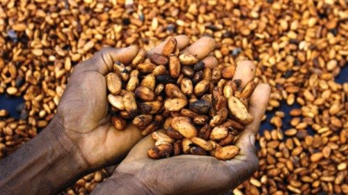 Caffè e cacao dell’Africa QUO-105 Caffè e cacao dell’Africa QUO-105