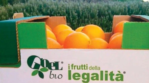 Opporsi alla mafia conviene. Anche alle imprese QUO-107 Opporsi alla mafia conviene. Anche alle imprese QUO-107