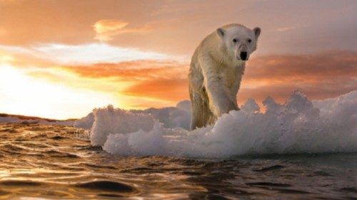 Canada, Nunavut Territory, Repulse Bay, Polar Bear (Ursus maritimus) stands on melting sea ice at ... Canada, Nunavut Territory, Repulse Bay, Polar Bear (Ursus maritimus) stands on melting sea ice at ...