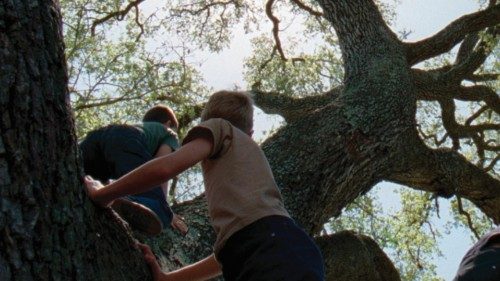 Viaggio tra le ferite dell’ambiente QUO-117 Viaggio tra le ferite dell’ambiente QUO-117