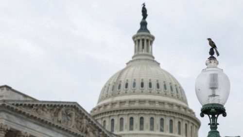 A bird sits on a lamp on Capitol Hill in Washington, U.S., May 23, 2024. REUTERS/Amanda ... A bird sits on a lamp on Capitol Hill in Washington, U.S., May 23, 2024. REUTERS/Amanda ...