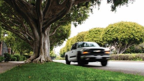 Meno stress, più studio e lavoro Tutti i benefici della vegetazione urbana QUO-124 Meno stress, più studio e lavoro Tutti i benefici della vegetazione urbana QUO-124