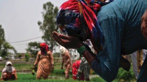 A farm labourer drinks water during a break amid work on a paddy field on a hot summer day in Karnal ... A farm labourer drinks water during a break amid work on a paddy field on a hot summer day in Karnal ...