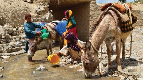 TOPSHOT - Afghan children fill cans with water from a stream before loading them on donkeys, at a ...