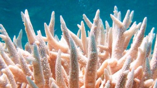 C’era una volta il colore del mare QUO-130 C’era una volta il colore del mare QUO-130