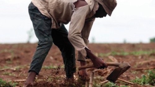 Isiah Golpi, 29-year-old farmer, works on his farmland inside Paikon Kore community in Gwagwalada on ...