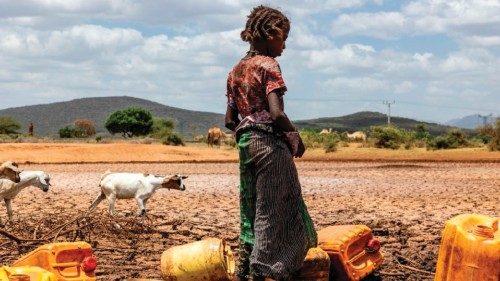 Contro la siccità e la malnutrizione QUO-146 Contro la siccità e la malnutrizione QUO-146