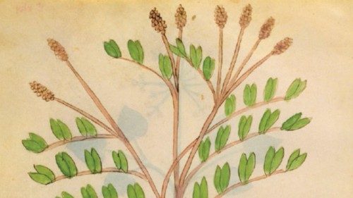Il vecchio e la montagna QUO-148 Il vecchio e la montagna QUO-148