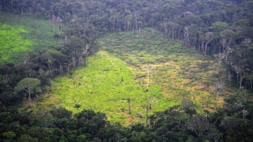 General aerial view of coca field at the Natural National Park in La Macarena, Meta Department, ...