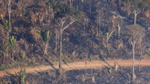  Amazzonia pericolosa  per i giornalisti  QUO-160