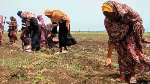Sudanese women plant seeds on the outskirts of Sudan's eastern city of Gedaref on July 18, 2024. ... Sudanese women plant seeds on the outskirts of Sudan's eastern city of Gedaref on July 18, 2024. ...