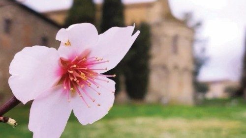 Declinare il tempo della cura QUO-166 Declinare il tempo della cura QUO-166