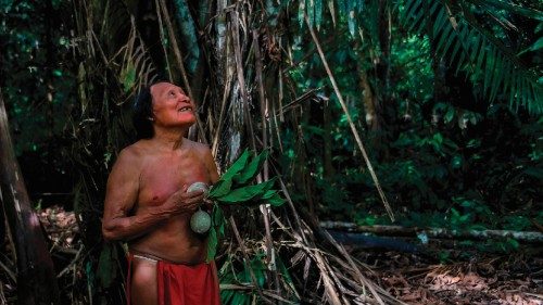 A Waiapi man looks at a boy picking fruits from a Geninapo tree at the Waiapi indigenous reserve in ... A Waiapi man looks at a boy picking fruits from a Geninapo tree at the Waiapi indigenous reserve in ...