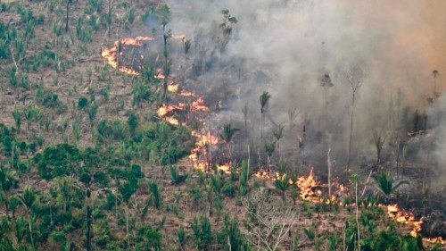 TOPSHOT - Aerial view of an area of Amazon rainforest deforested by illegal fire in the municipality ... TOPSHOT - Aerial view of an area of Amazon rainforest deforested by illegal fire in the municipality ...