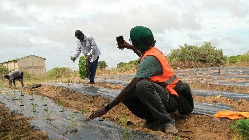 Agro-influencer Nogoye Sene, senior agronomy technician and director of Ebeno Agrobusiness, prepares ... Agro-influencer Nogoye Sene, senior agronomy technician and director of Ebeno Agrobusiness, prepares ...