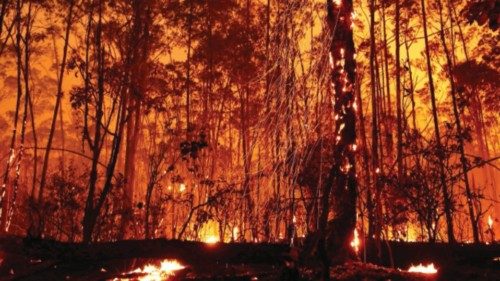 Flames rise from wildfires in Brasilia's National Forest in Brasilia, Brazil, September 4, 2024. ... Flames rise from wildfires in Brasilia's National Forest in Brasilia, Brazil, September 4, 2024. ...