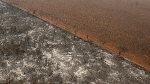 epa11603138 An aerial photograph shows an area affected by a fire in the Chaco region in Bahia ... epa11603138 An aerial photograph shows an area affected by a fire in the Chaco region in Bahia ...